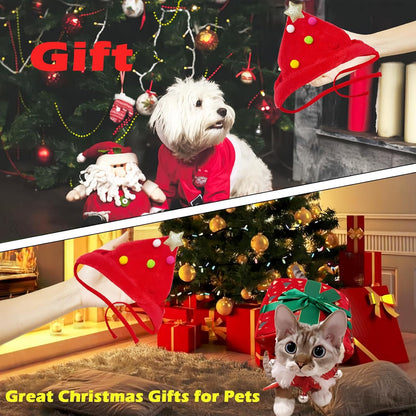 Christmas Pet Outfit